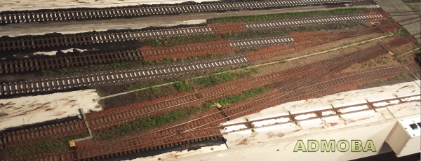 Das Gras wurde zu hauf in die Pampe gepflanzt