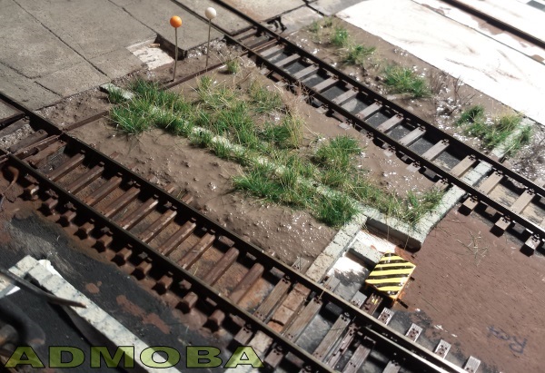 Das Gras wird in die Pampe eingesetzt